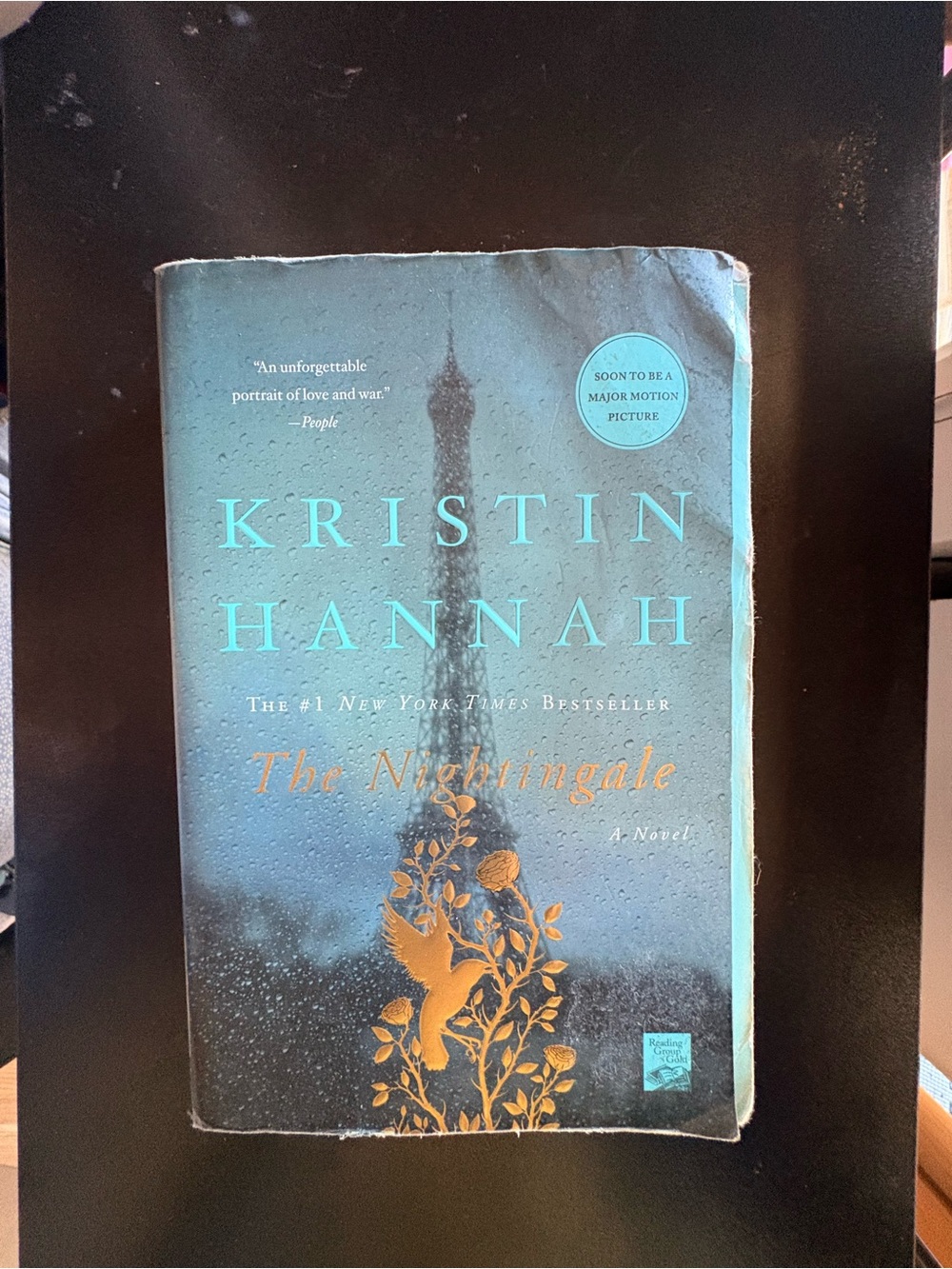 Kristin Hannah "The Nightingale" Paperback - Teal & Gold Cover